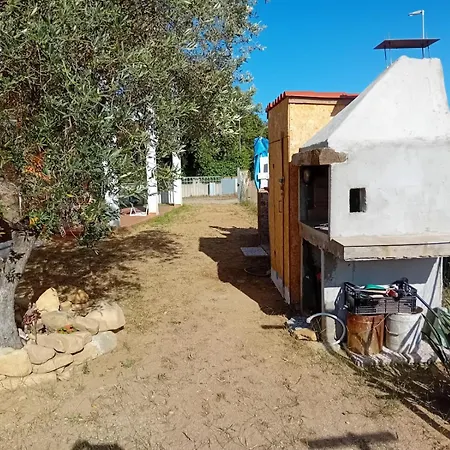Carmen House Olia Speciosa